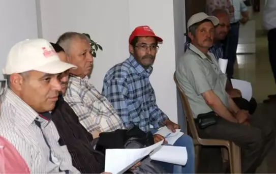 Hatice Teyze'den Sağlıklı Alternatifler