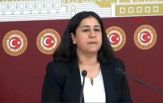 Hdp'li Demirel Hepimiz Aynı İfadeyi Vereceğiz Orada -1