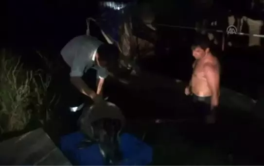 Manavgat'ta Balık Ölümleri