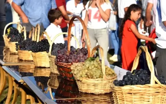 2. Trakya Bağbozumu En Güzel Üzüm Yarışması düzenlendi