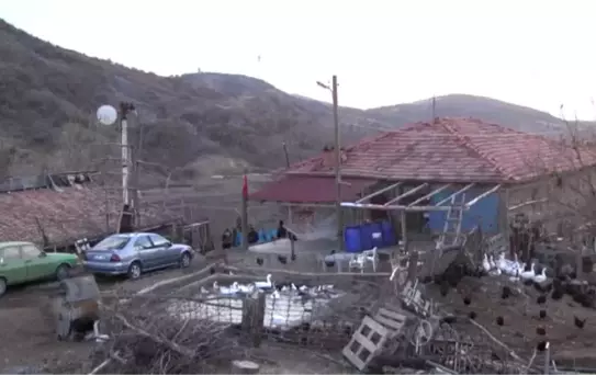 Mutluluğu Bulmak Için' Kentten Ayrılıp Köye Yerleşti