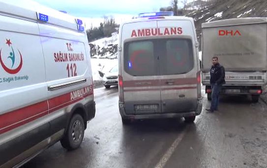 Freni Boşalan Tır Devrildi, Sürücü Öldü