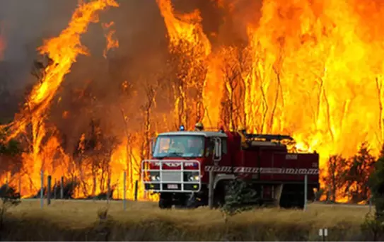 Avustralya'da Yangınlar