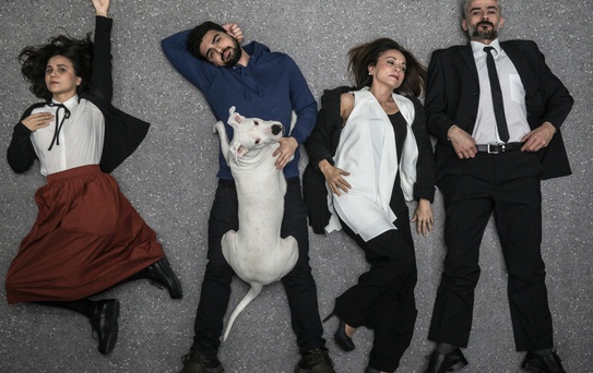 Köpeklerin İsyan Günü