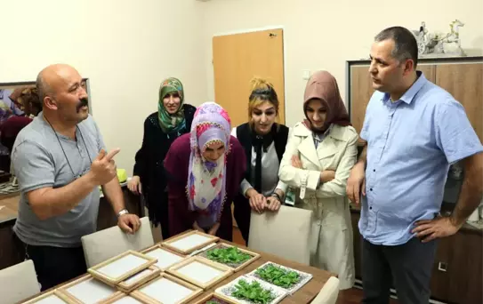 Evlerinde Ipek Böceği Yetiştirerek 6 Bin Lira Kazanacaklar