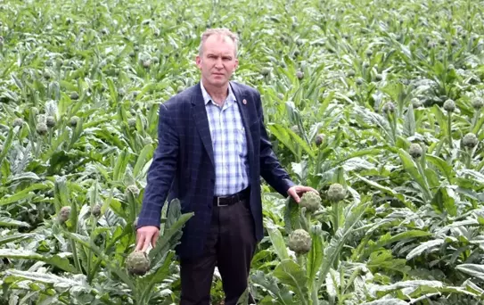 Bursa Enginarı Altın Çağını Yaşıyor