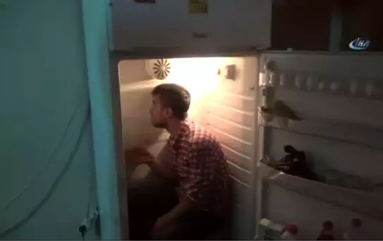 Serinlemek İçin Buzdolabına Giriyor