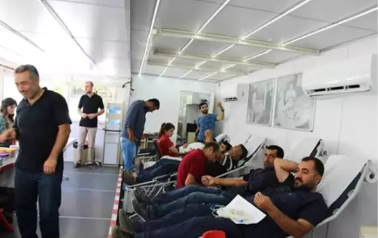 Alaplı'dan Kısa Kısa