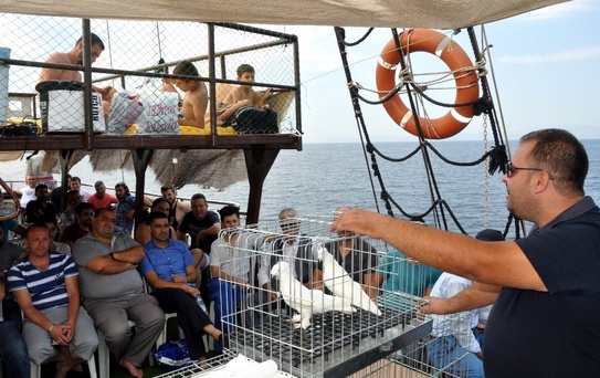 Güvercin Sevdası Denizlere Taştı