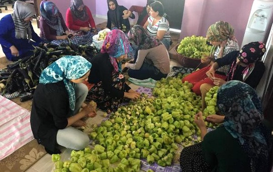 Çatom'lu 22 Kadın, Sebzeleri Kurutup Satıyor