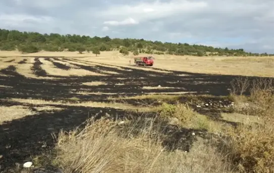Anız Yangını Ormanlık Alana Sıçramadan Söndürüldü