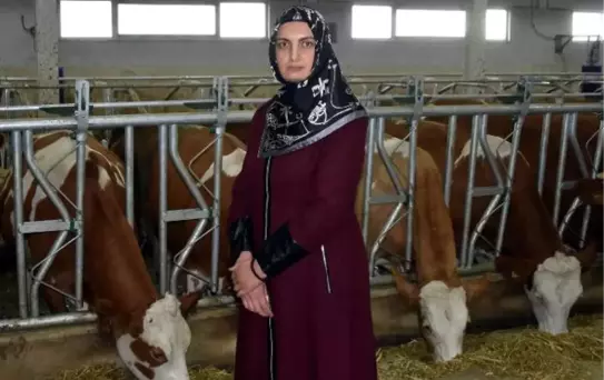 Kadın Girişimci, Devlet Desteğiyle 3 Milyon Liralık Hayvancılık Tesisi Kurdu