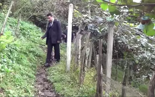Kaymakam Özerden, Kivi Bahçelerine Hayran Kaldı
