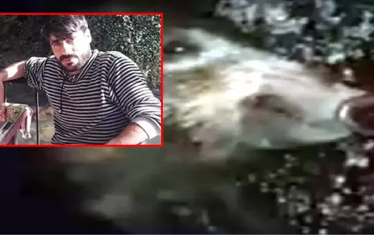 Aracıyla Çarptığı Domuzdan Özür Dilediği Anları, Kaydedip Yayınladı