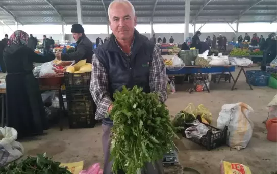 Alternatif Yeşillik, Taze Haşhaş Otu