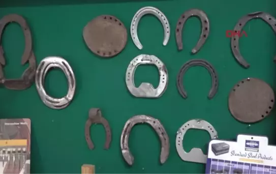 1-Üniversiteler 10 Yıldan Bu Yana Nalbant Yetiştirmiyor