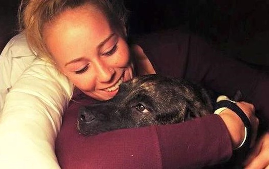Gizemli Ölüm Aydınlandı! Genç Kadını, Pitbull Cinsi İki Köpeği Öldürüp Yemiş