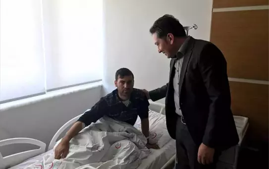 Zeytin Dalı Harekatı