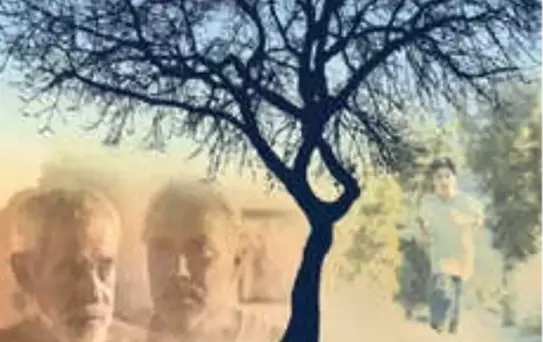 Vicdan Ağacı Filmi