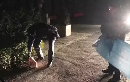 Caminin Kapısına Domuz Kafası Bıraktılar