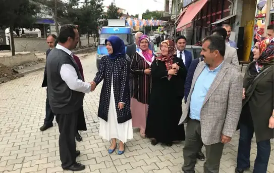 Bilgin: 'Samsun ile İlgili Projelerim Var'