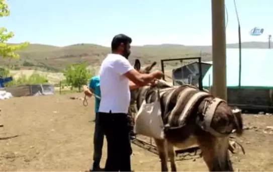 14 Yaşındaki Berdan'ın Lgs Başarısı Dikkat Çekti