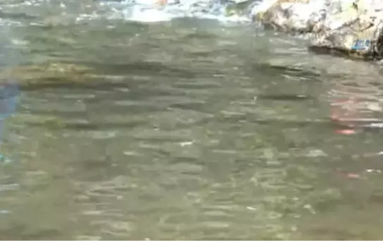 Vatandaşlar Bunaltıcı Sıcaklarda Mesire Alanlarına Akın Etti