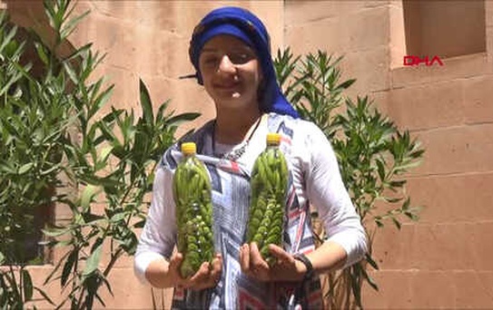 Mardin Midyat'ta Kadınların Turşu Mesaisi Başladı Hd