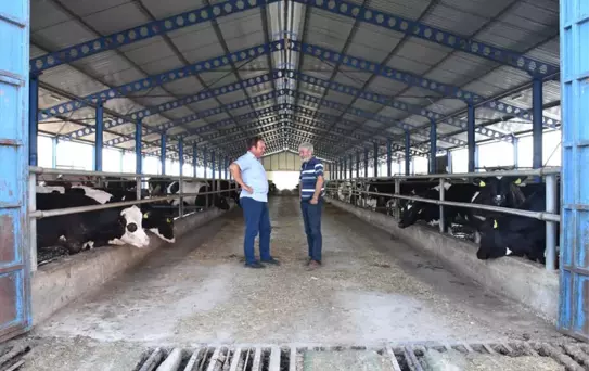 Üreticiler Çiğ Süt Fiyatında Artış Bekliyor
