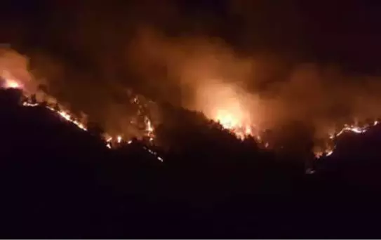 Sivas'ta Ormanlık Alanda Çıkan Yangın, Yerleşim Yerlerini Tehdit Ediyor (2)