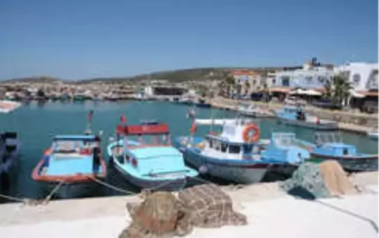 Çiftlik'te Festival Zamanı