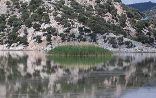 Meksika'dan Bafa'ya Gizemli Yolculuk