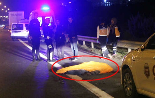 Bozulan Otomobilin Başında Beklerken TIR Çarptı: 1 Ölü 1 Yaralı