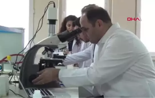 Manisa Alzheimer Hastalarına İlaç Olacak İki Yosun Türü Bulundu