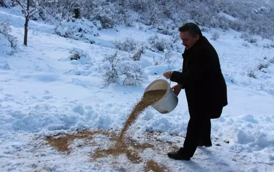 Seydişehir Belediyesi Doğaya Yem Bıraktı