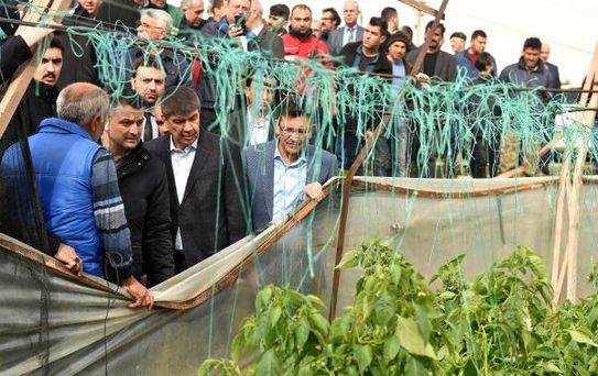 Antalya'da Fırtına ve Hortum Felaketinin Yaraları Sarılıyor (2)