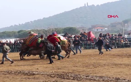Ordu Develer Ödemiş'te Güreşti