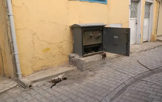 Trafoya Giren Kedi Elektrik Kesintisine Neden Oldu