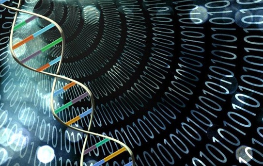 Bilim İnsanları, Yeniden Programlanabilir Dna Tabanlı Bir Bilgisayar Oluşturmayı Başardı