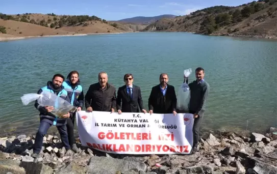 Kütahya'da 43 Göl ve Gölede 400 Bin Yavru Sazan Balığı Bırakıldı