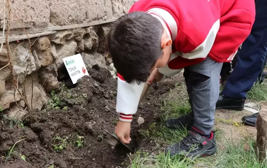 Öğrenciler 'Buğdayın Atası'Nı Toprakla Buluşturdu