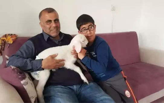 Kuzuyla Alışverişe Gidiyor, Çocuk Bezi Bağlıyor