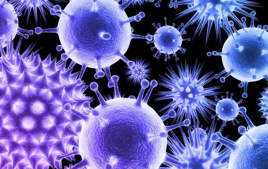 Okyanuslarda 200 Bine Yakın Yeni Virüs Keşfedildi