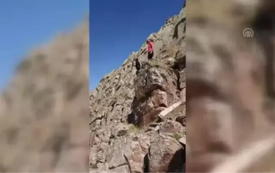 Bitki Literatürüne 44. Türünü Kazandırdı