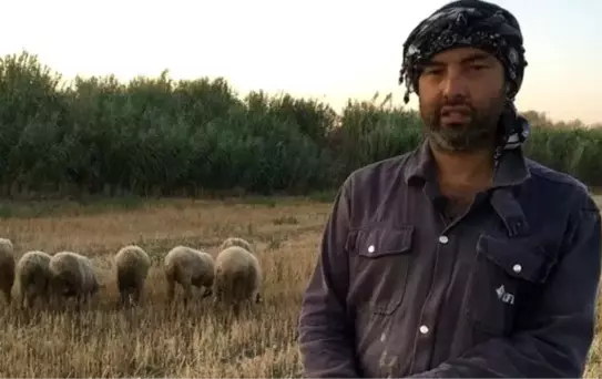 Demokratik Sol Parti Belediye Başkan Adayı siyaseti bırakıp çobanlığa başladı!