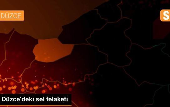 Düzce'deki sel felaketi