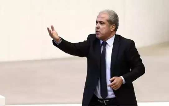Erdoğan'la görüşen Şamil Tayyar'dan açıklama: Pelikan'ın P'si bile geçmedi