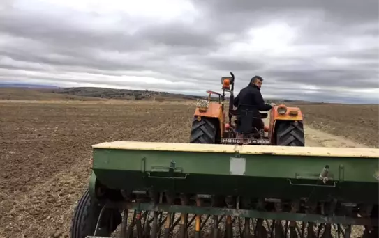 Yozgat'ta çiftçiler buğday ekimine başladı