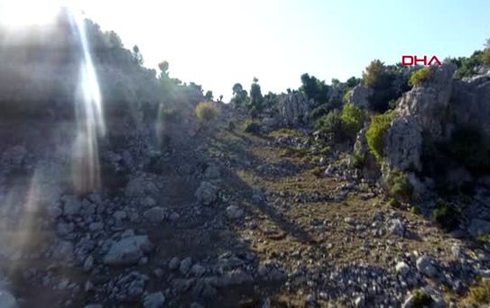 Kahramanmaraş sırtlarında 4 kilometre taşıdıkları defneler, abd'ye ihraç ediliyor -