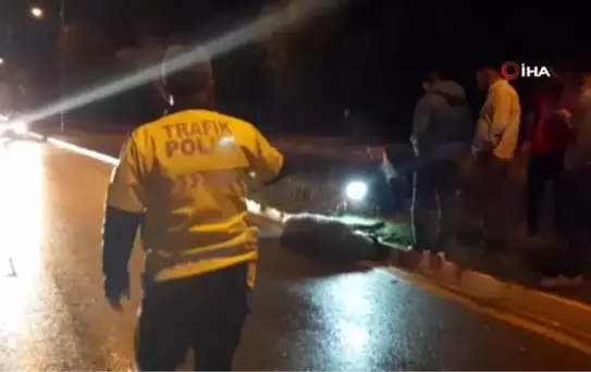 Şehir merkezine inen domuz kazaya neden oldu